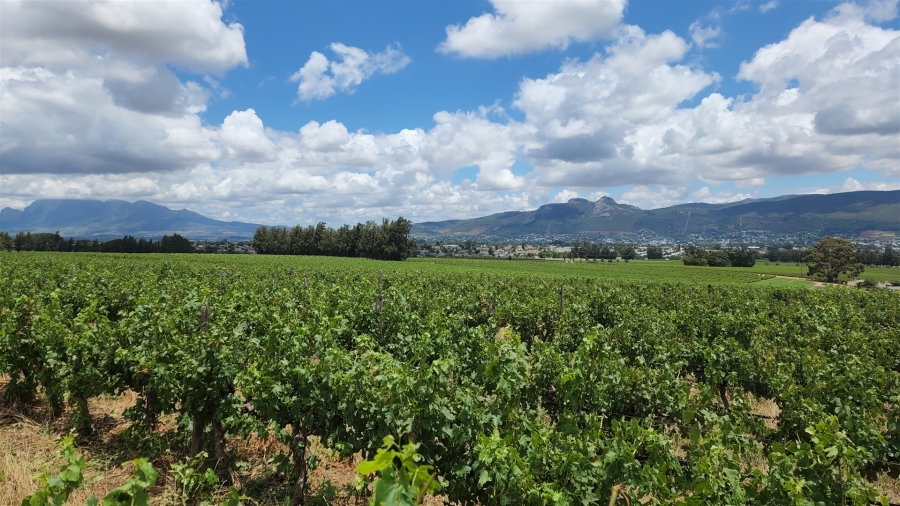 Commercial Property for Sale in Paarl Rural Western Cape